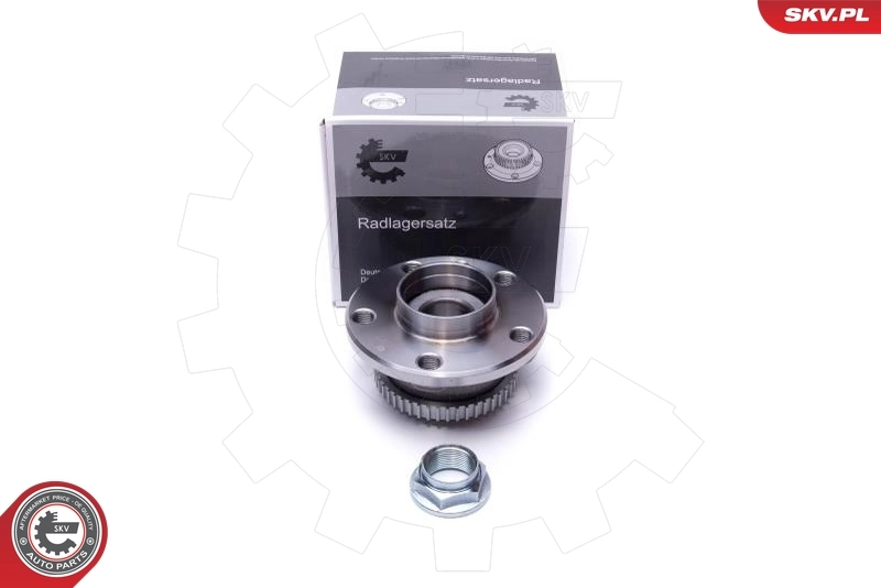 Wheel Bearing Kit